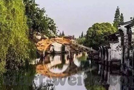 足球比分南特-南特，从绿茵场上的逆袭者到法甲赛场的中流砥柱
